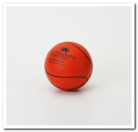 MSP-005 Basketball